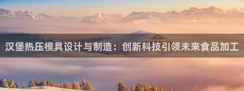 emc服务器是干啥的：汉堡热压模具设计与制造：创新科技引