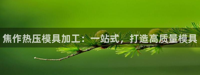 武汉易倍捷科技有限公司