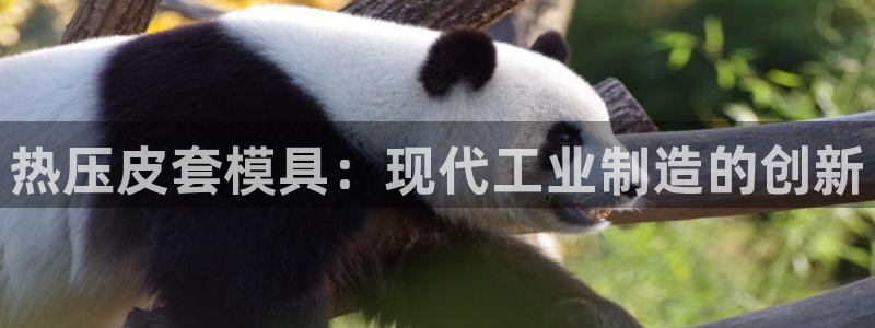 易倍电竞安装教程：热压皮套模具：现代工业制造的创新