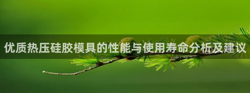 易倍纤价格:优质热压硅胶模具的性能与使用寿命分析及建议