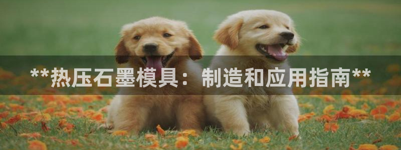 易倍网络技术有限公司官网