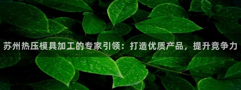 emc易倍老板：苏州热压模具加工的专家引领：打造优质产品