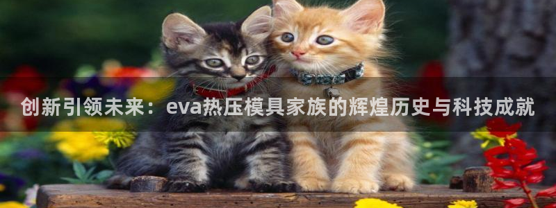 易倍单词登录网站:创新引领未来:eva热压模具家族的辉煌