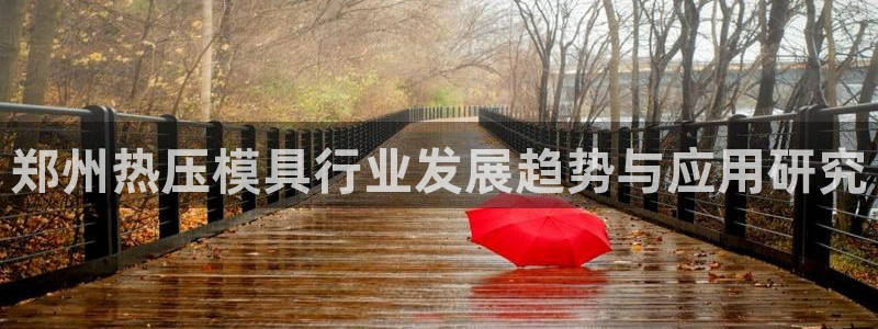 易倍app网站:郑州热压模具行业发展趋势与应用研究