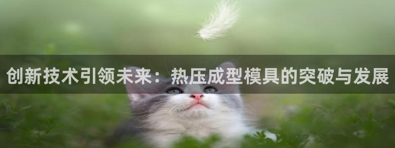 易倍纤瘦身三部曲的价格:创新技术引领未来:热压成型模具的