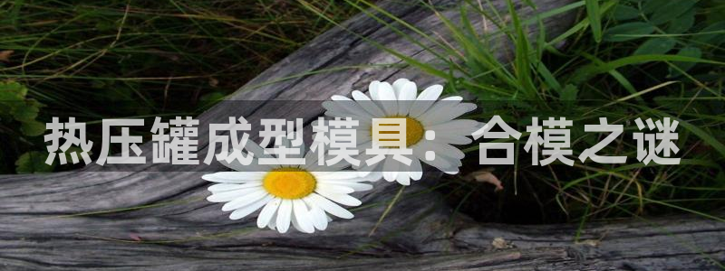 易倍单词官方网站登录