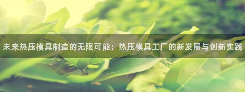 武汉易倍捷科技有限公司：未来热压模具制造的无限可能：热压