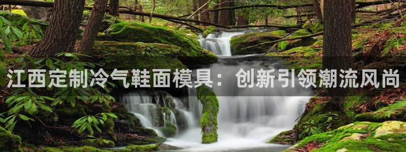 emc易倍官网app下载：江西定制冷气鞋面模具：创新引领