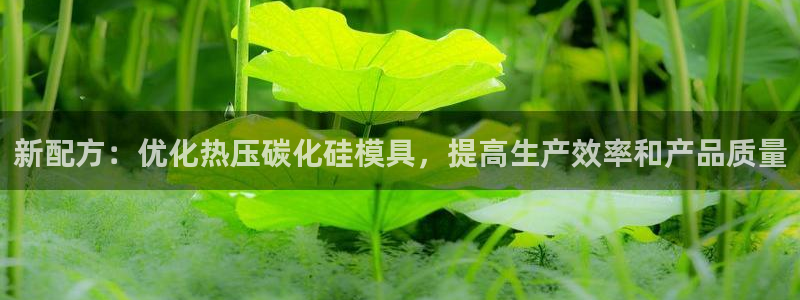 易倍思机电制造(上海)有限公司：新配方：优化热压碳化硅模