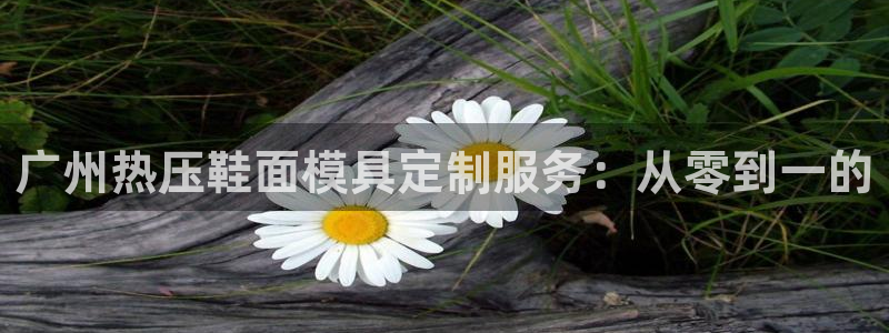 emc mcu:广州热压鞋面模具定制服务:从零到一的