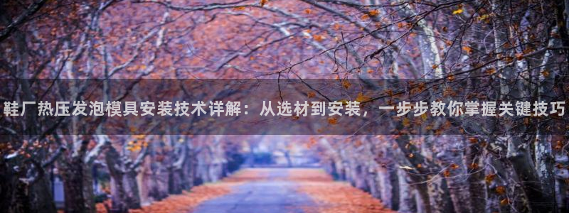 易倍单词app下载：鞋厂热压发泡模具安装技术详解：从选材