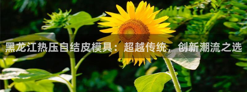 杭州易倍达科技有限公司怎么样：黑龙江热压自结皮模具：超越