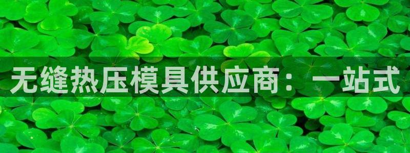 易倍emc网址：无缝热压模具供应商：一站式