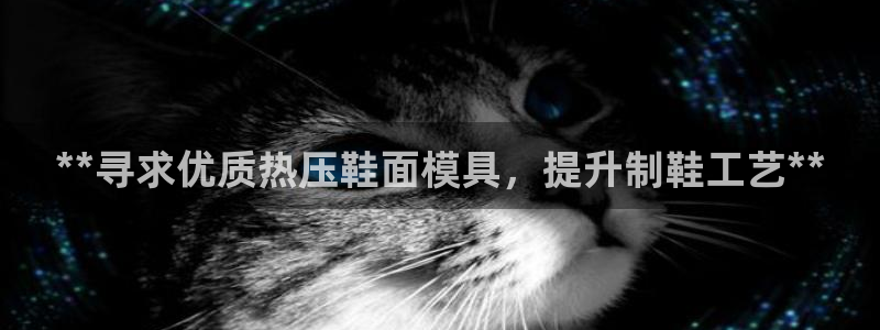 易倍申服用方法：**寻求优质热压鞋面模具，提升制鞋工艺*