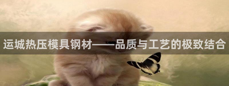 emc易倍在线登录：运城热压模具钢材——品质与工艺的极致