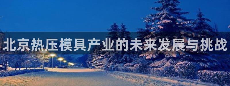 易倍纤能减肥吗：北京热压模具产业的未来发展与挑战