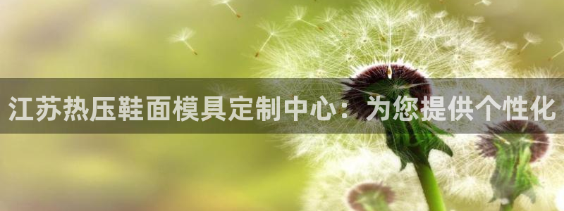 易倍网络技术有限公司：江苏热压鞋面模具定制中心：为您提供