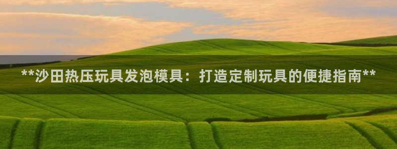 emc服务器是干啥的：**沙田热压玩具发泡模具：打造定制