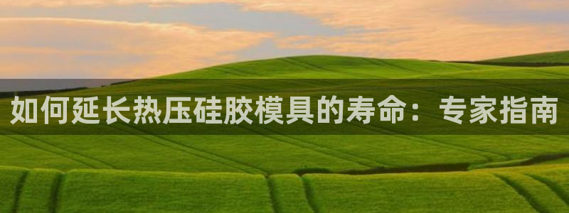 emc全站app下载：如何延长热压硅胶模具的寿命：专家指