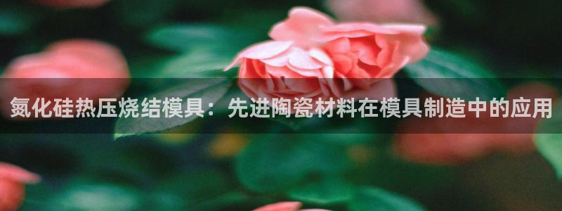 emc易倍ios官网:氮化硅热压烧结模具:先进陶瓷材料在